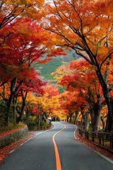 紅葉のトンネルと曲がりくねった道 紅葉のトンネルと曲がりくねった道の写真