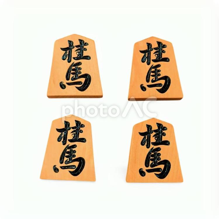 将棋の駒　白背景 将棋,駒,王将の写真素材