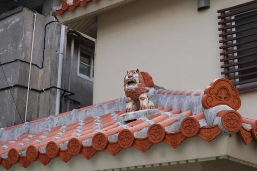 沖縄の守り神、瓦屋根のシーサー シーサー,瓦屋根,沖縄の写真素材
