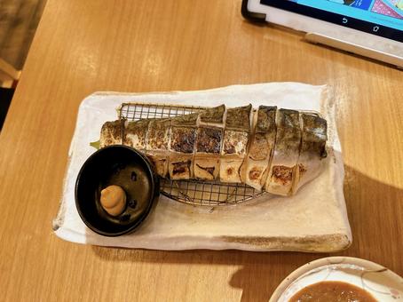 炙りしめ鯖 炙りしめ鯖 しめ鯖,サバ,鯖の写真素材
