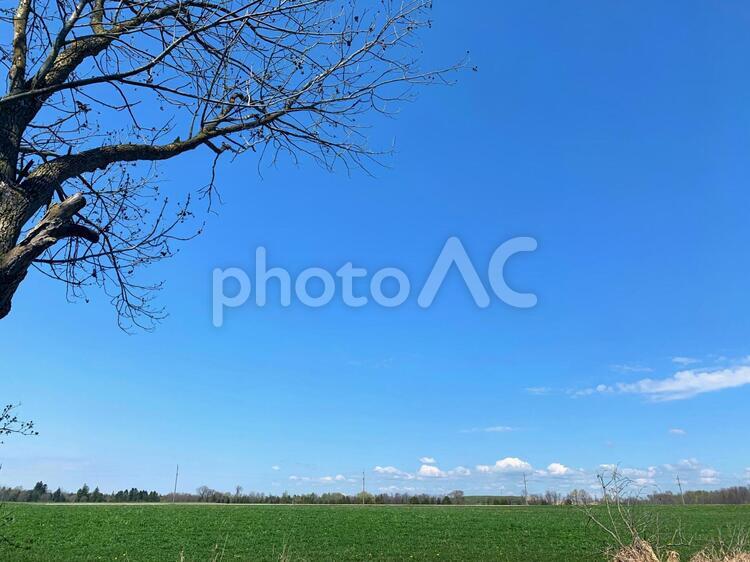 カナダの美しい風景 1 青空,大空,さわやかの写真素材