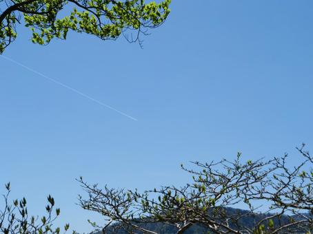 八紘嶺の飛行機雲 八紘嶺の飛行機雲 八紘嶺,飛行機雲,早川町の写真素材