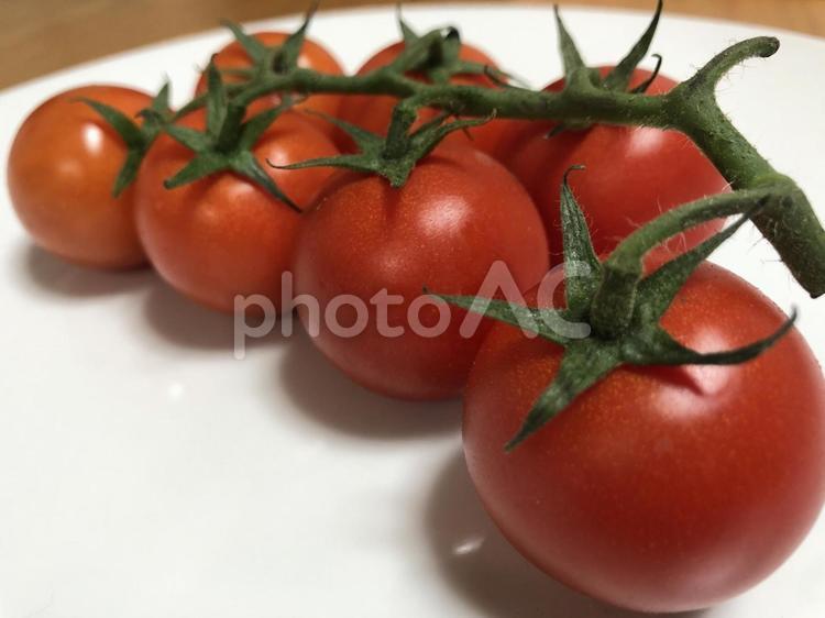 とまと とまと,野菜,フードの写真素材