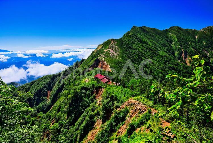 北アルプスの後立山連峰の爺ヶ岳と冷池山荘 北アルプス,後立山連峰,爺ヶ岳の写真素材