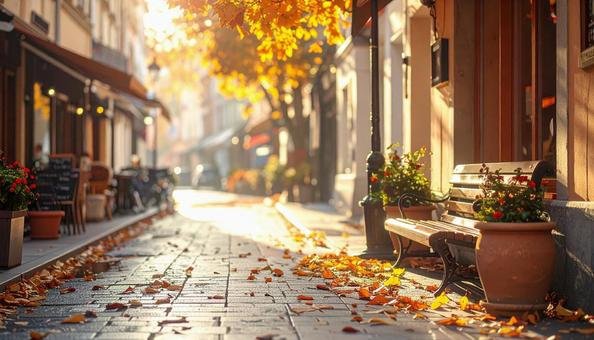 紅葉の街路樹とかわいいカフェのベンチ 紅葉の街路樹とかわいいカフェのベンチの写真