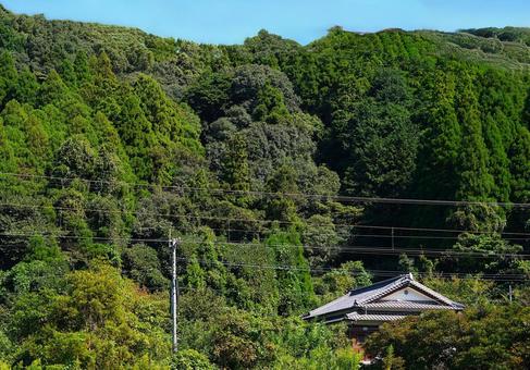 初秋の里 初秋の里 山,森,木々の写真素材