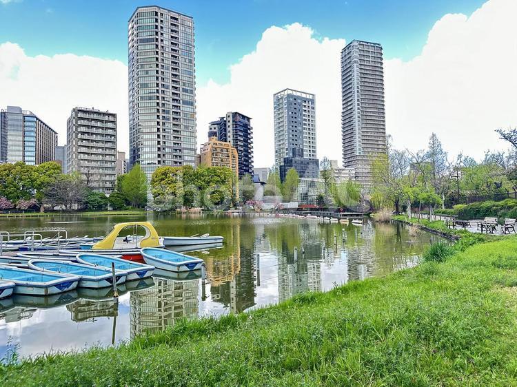 台東区上野　不忍池　上野公園　春の公園 不忍池,上野恩賜公園,弁天島の写真素材