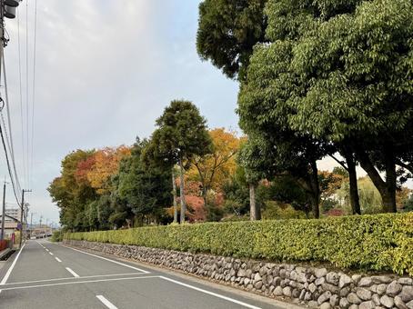 秋の夕方　福井県紫式部公園 紫式部公園,福井県,庭園の写真素材