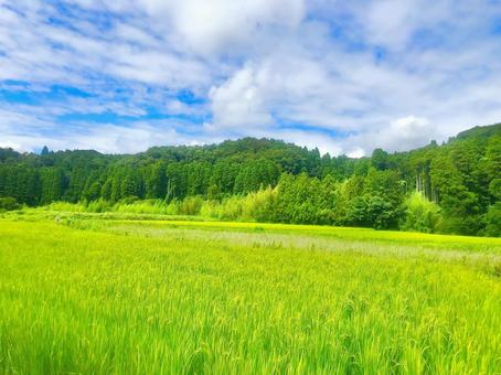 リフレッシュ リフレッシュの写真