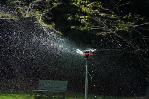 庭園でのスプリンクラーの水しぶき 庭園でのスプリンクラーの水しぶきの写真