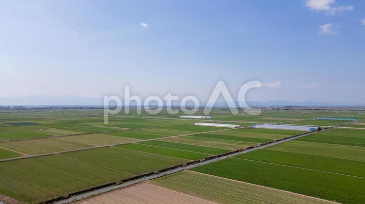 佐賀県佐賀市の風景　ドローン空撮 佐賀,佐賀県,空撮の写真素材