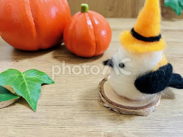 ハロウィンのシマエナガ シマエナガ,鳥,白い鳥の写真素材