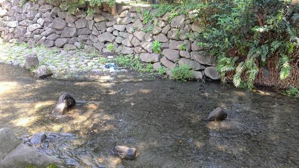 小川 小川の写真