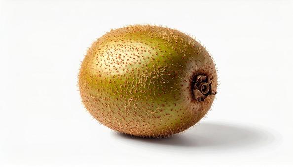 白い背景に一つのキウイの写真