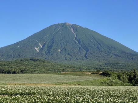 夏の羊蹄山 夏の羊蹄山 北海道,山,羊蹄山の写真素材