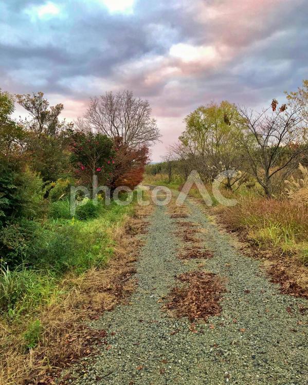 散歩道田舎風景 風景,空,田舎風景の写真素材