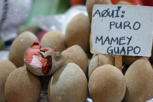 メキシコのフルーツ マメイ メキシコのフルーツ マメイの写真