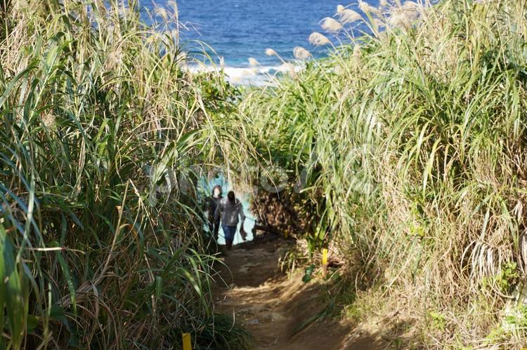 草原と海 海,沖縄,海岸の写真素材