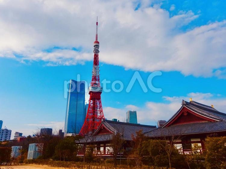 増上寺と東京タワーとスカイライン 青空,空,スカイラインの写真素材