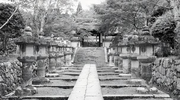 初秋の三井寺の唐院探題燈籠と唐院四脚門 初秋の三井寺の唐院探題燈籠と唐院四脚門 三井寺,唐院探題燈籠,唐院の写真素材