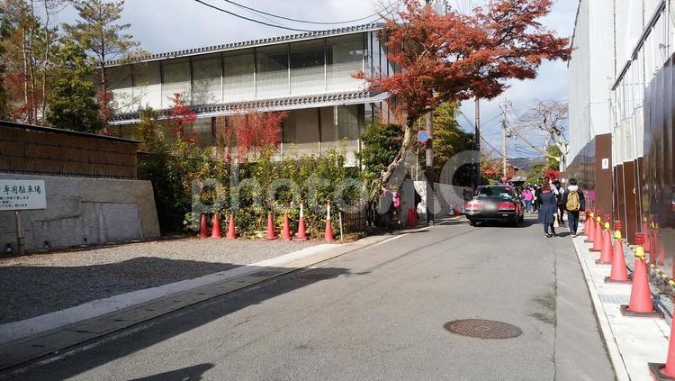 京都　嵐山　嵯峨 京都,嵐山,嵯峨の写真素材
