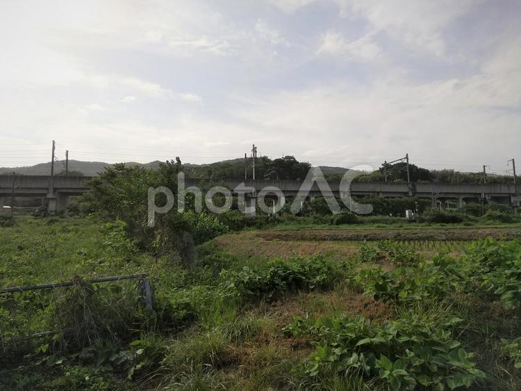 東北新幹線　東北本線　福島県伊達市桑折町 東北新幹線,東北本線,福島県の写真素材