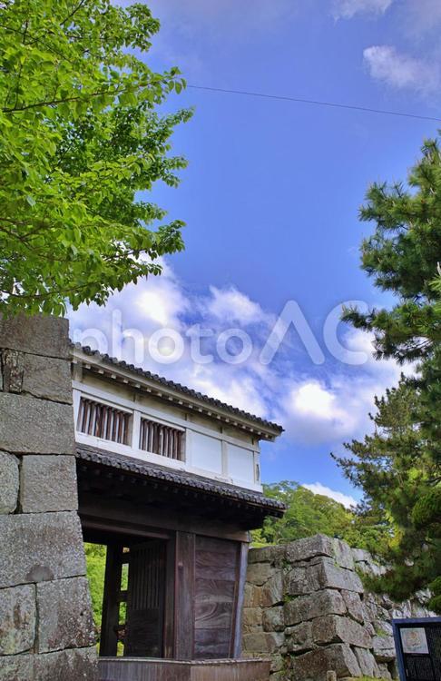 青空に映える和歌山城岡口門 和歌山城,岡口門,城の写真素材