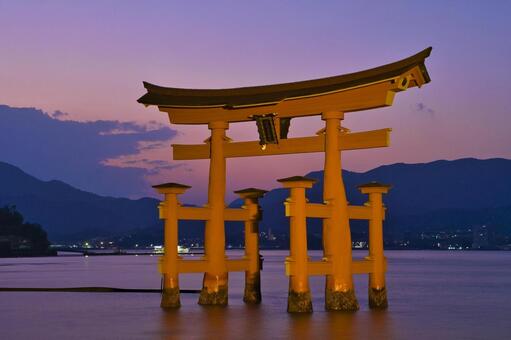 宮島：厳島神社・大鳥居・夕焼け 宮島,厳島神社,日本三景の写真素材