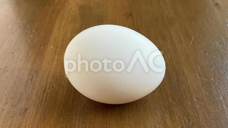 卵 - No: 32124027｜写真素材なら「写真AC」無料（フリー）ダウンロードOK