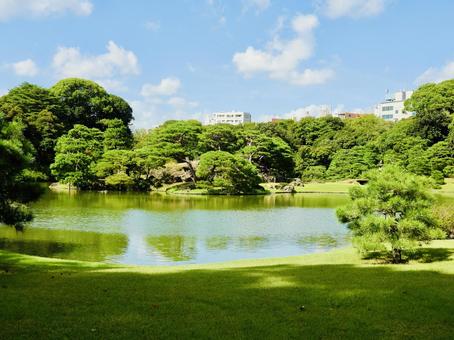 特別名勝六義園 六義園,庭園,大名庭園の写真素材