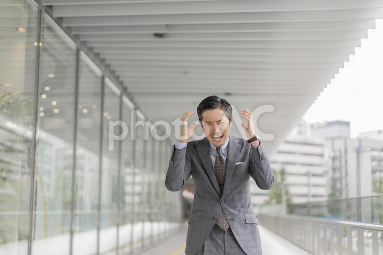 ビジネス　男性　スーツ ビジネス,男性,ビジネスマンの写真素材