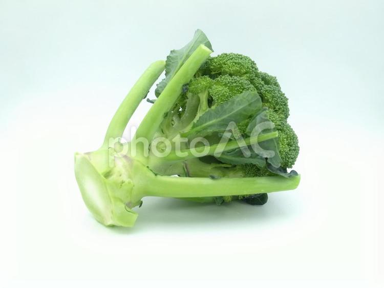 ブロッコリー　野菜　緑黄色野菜　食べ物　食材　緑　白背景　新鮮　美味しい　フレッシュ ブロッコリー,野菜,緑黄色野菜の写真素材