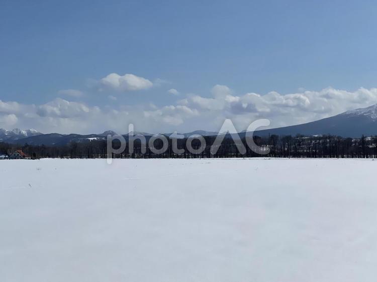 冬の北海道の晴れの日 冬,雪,北海道の写真素材