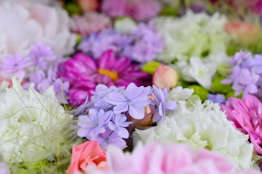 花手水 花手水,神社,手水の写真素材