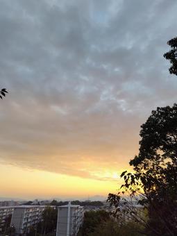 夜明け 夜明け,朝,グラデーションの写真素材