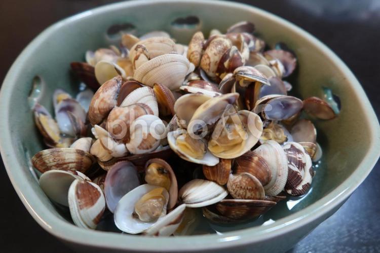 アサリの酒蒸し（アップ） アサリ,浅利,酒蒸しの写真素材
