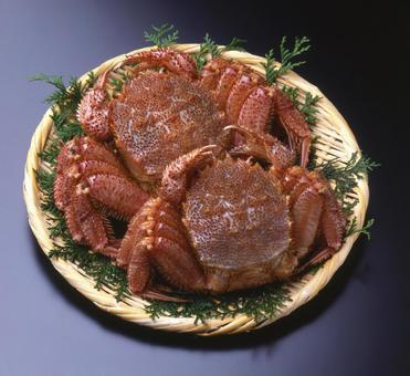 毛蟹 毛蟹 毛ガニ,竹ざる,食材の写真素材