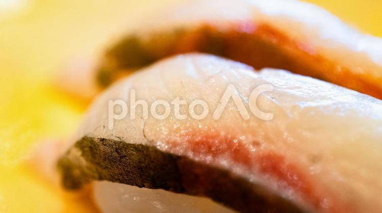 シマアジのにぎり寿司 シマアジ,にぎり寿司,寿司の写真素材