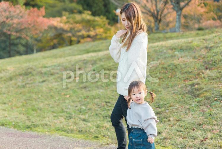 秋の公園を散歩する親子（子供・ママ） 子供,親子,ママの写真素材