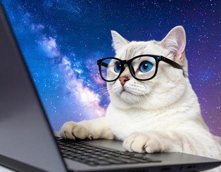 宇宙で仕事をする猫 宇宙で仕事をする猫の写真