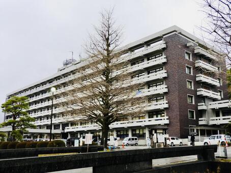 曇りの高知県庁本庁舎前 高知県,高知県庁,県庁の写真素材