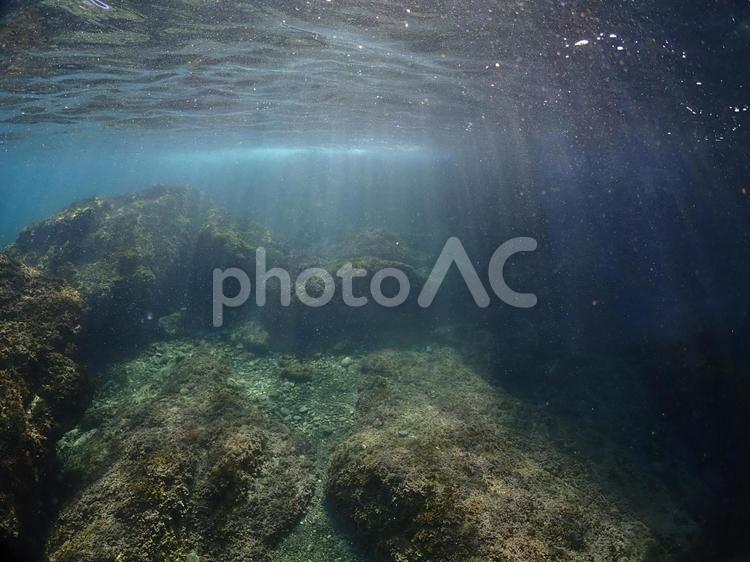 伊豆の海と、光の風景写真 海,水中写真,伊豆の写真素材