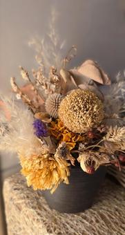 ドライフラワー ドライフラワー ドライフラワー,花束,ブーケの写真素材