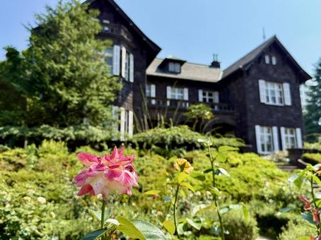 旧古河邸 旧古河庭園 7月のバラ園 旧古河邸 旧古河庭園 7月のバラ園 旧古河邸,旧古河庭園,洋館の写真素材