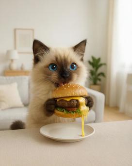 ハンバーガーを食べるシャムミックス ハンバーガーを食べるシャムミックスの写真