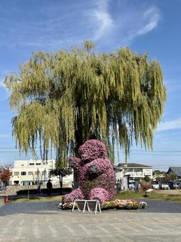 秋の武生中央公園　クマのトピアリーと柳 秋,クマ,トピアリーの写真素材