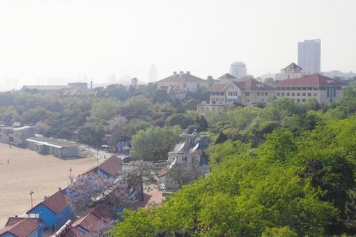 中国・青島市|歴史と海が出会う街並み 中国・青島市|歴史と海が出会う街並みの写真