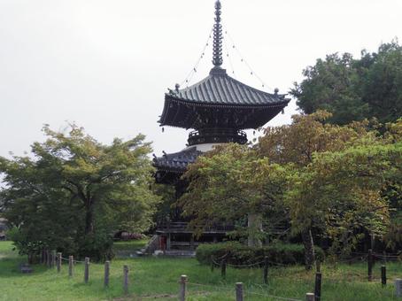 清涼寺多宝塔 清涼寺多宝塔の写真