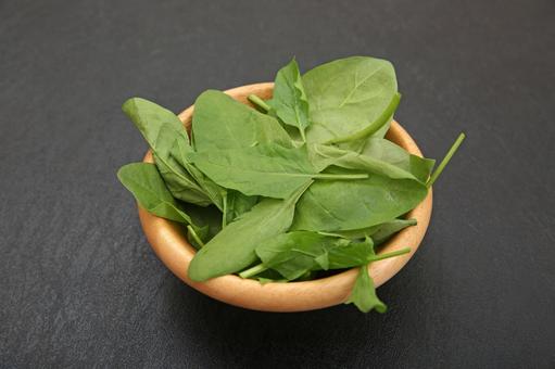 サラダほうれん草 サラダほうれん草,ほうれん草,野菜の写真素材