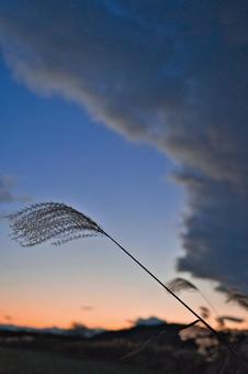 秋の夕暮れ 秋,季節,夕暮れの写真素材